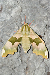 Similar image 174684