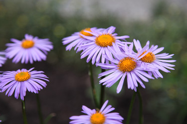 Similar image 174688