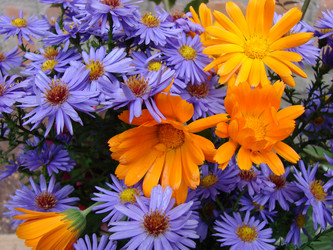 Similar image 174732