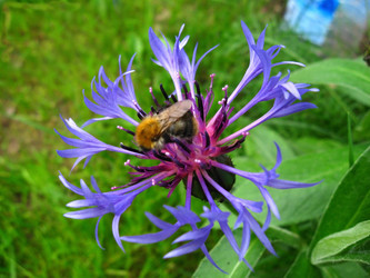 Similar image 174756