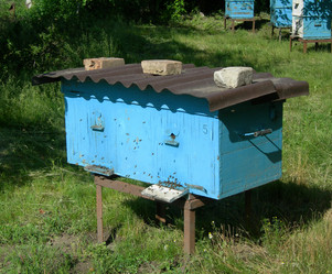 Similar image 174768