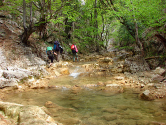 Similar image 174785