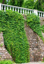 Similar image 174797