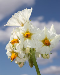 Similar image 174882