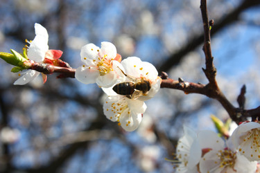 Similar image 174890