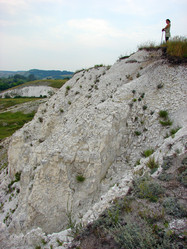 Similar image 174928