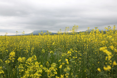 Similar image 174940