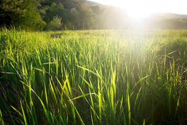 Similar image 174941