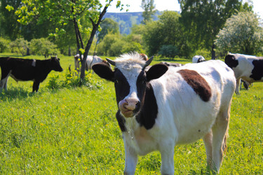 Similar image 174944