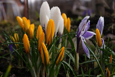 Similar image 174989