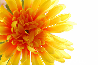 Similar image 174990