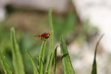 Similar image 174991