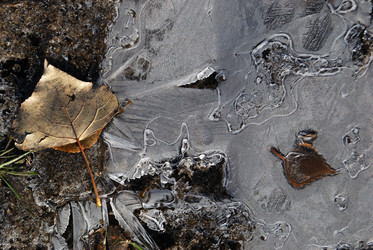 Similar image 175124