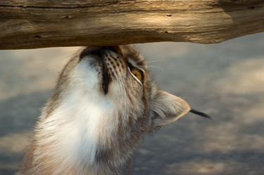 Similar image 175137