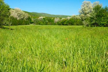 Similar image 175138