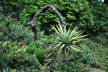 Similar image 175230