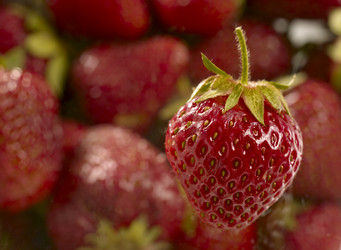 Similar image 175232