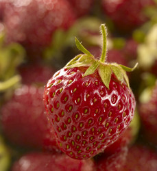 Similar image 175236