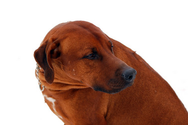 Similar image 175238