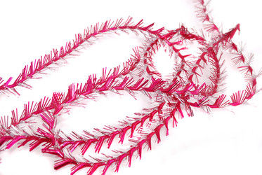 Similar image 175239