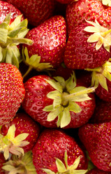 Similar image 175259