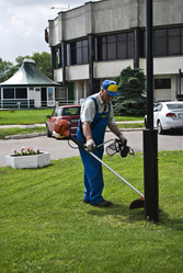 Similar image 175269