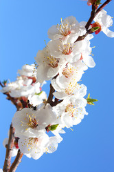 Similar image 175300