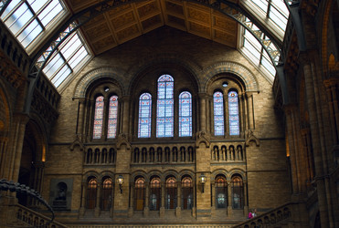 Similar image 175310