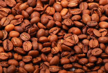 Similar image 175379