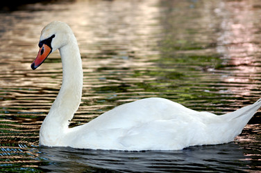 Similar image 175392