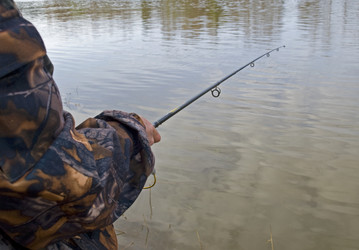 Similar image 175406