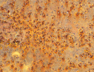 Similar image 175431