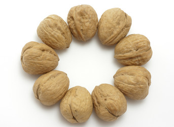 Similar image 175455