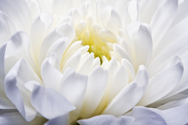 Similar image 175503