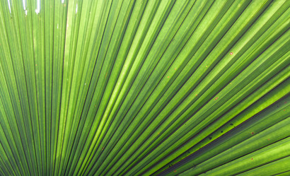 Similar image 175522