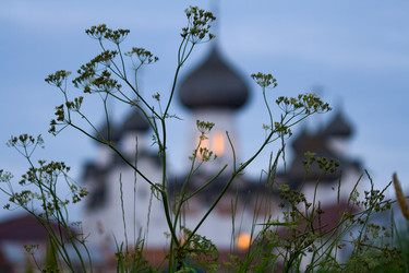 Similar image 175529