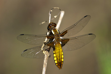 Similar image 175593