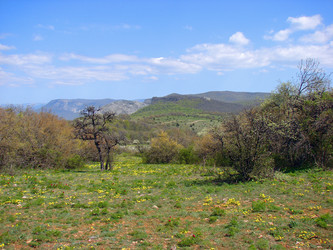 Similar image 175617