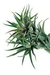 Similar image 175634