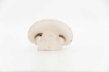 Similar image 175670