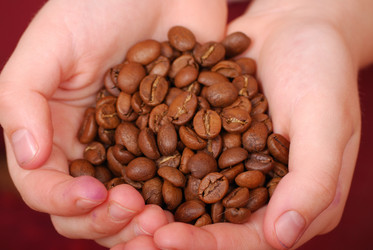 Similar image 175672