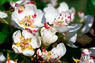 Similar image 175724