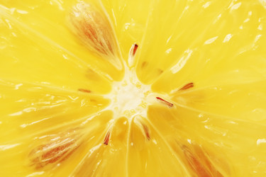 Similar image 175729