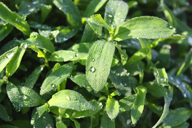 Similar image 175734