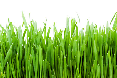 Similar image 175740