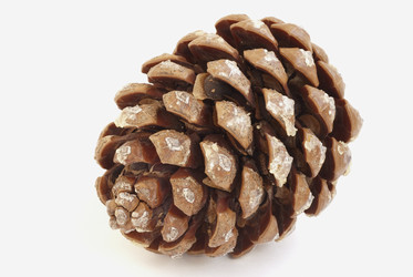 Similar image 175792