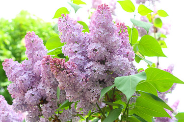 Similar image 175795