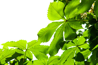 Similar image 175802