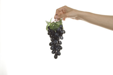 Similar image 175841