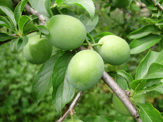 Similar image 175844